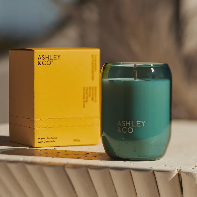 Ashley &amp; Co  Outdoor Candle