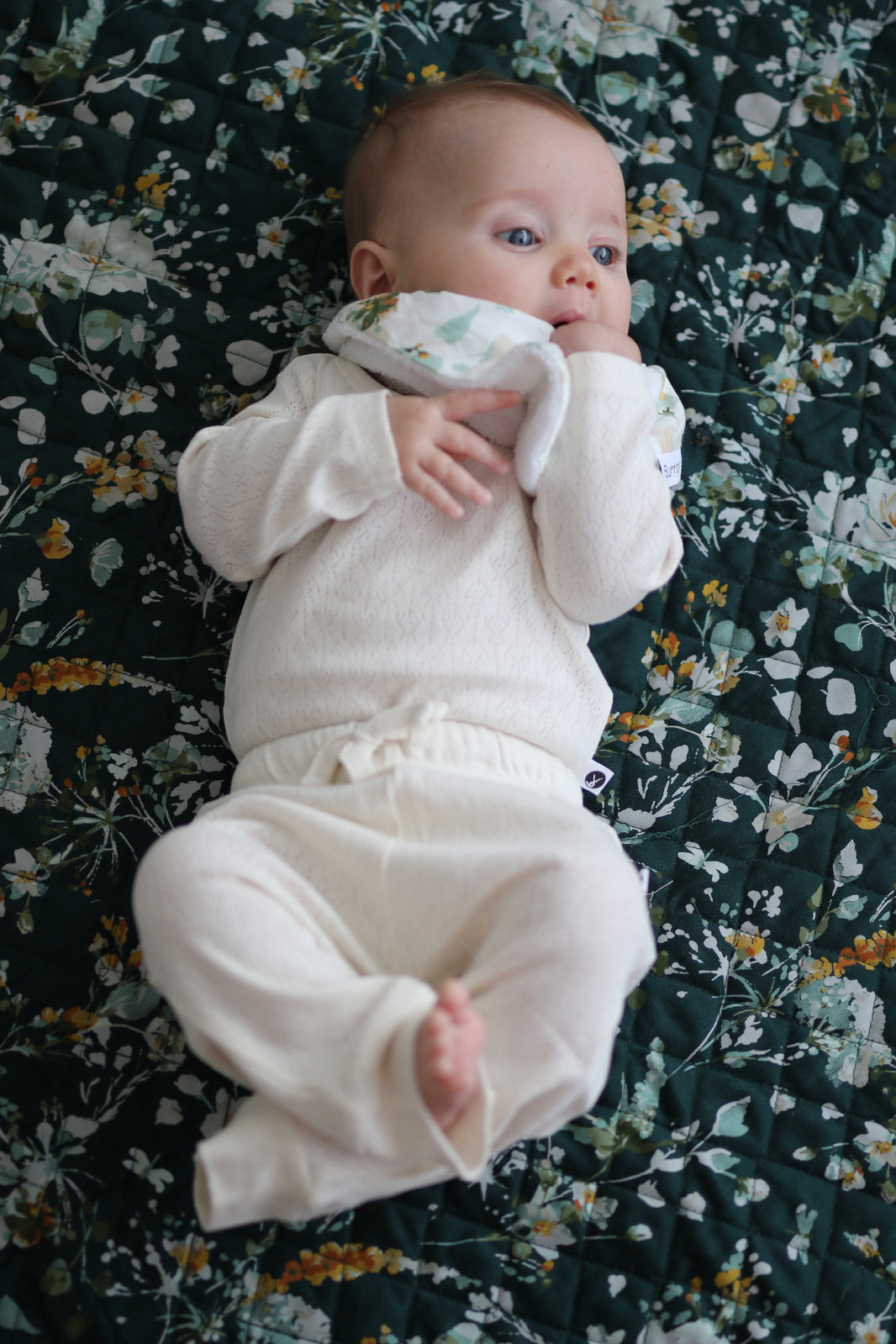 Burrow & Be Pointelle Baby Pants - Natural