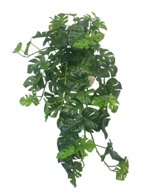 Faux Split Philo Hanging Bush