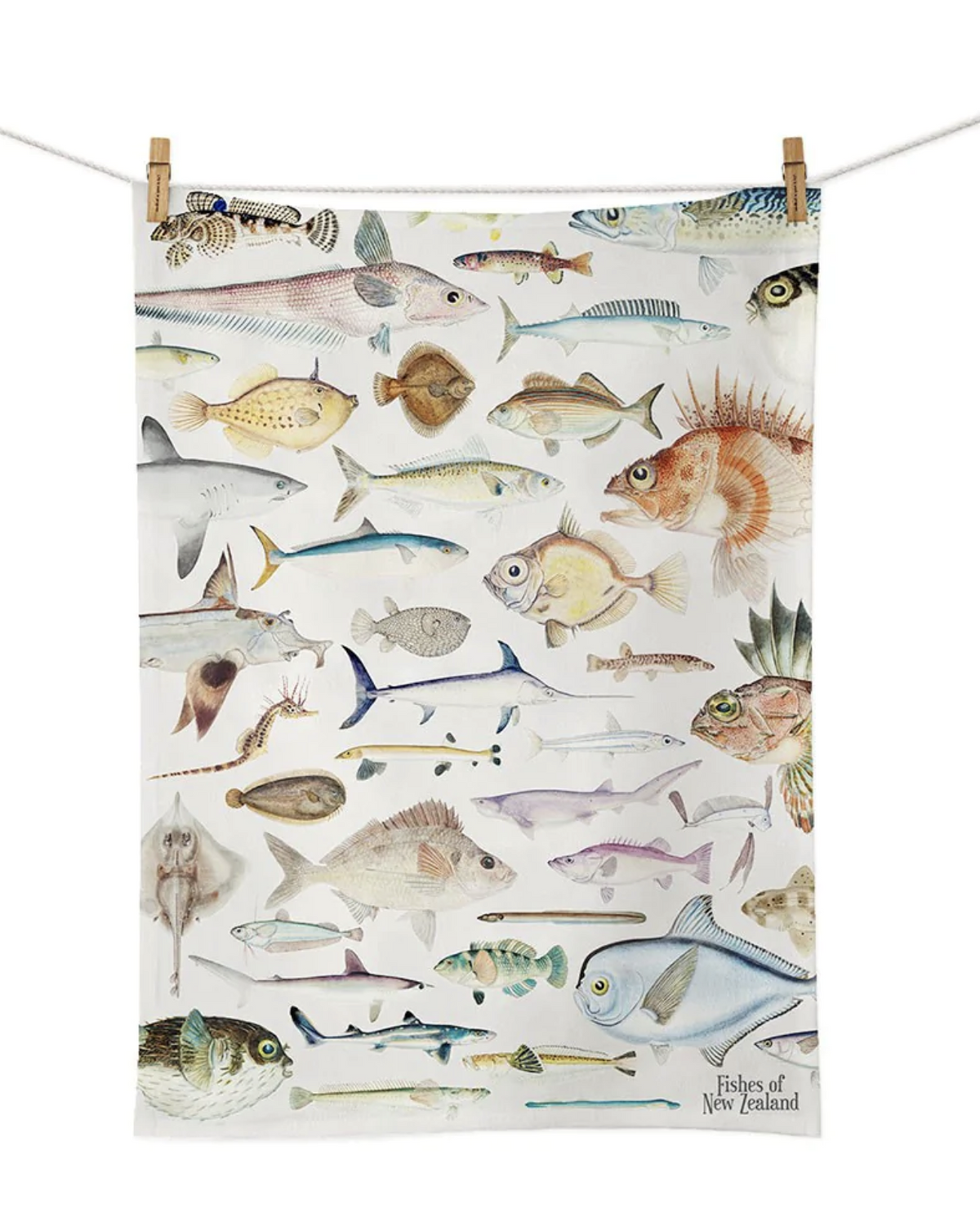 Fishes of New Zealand Teatowel