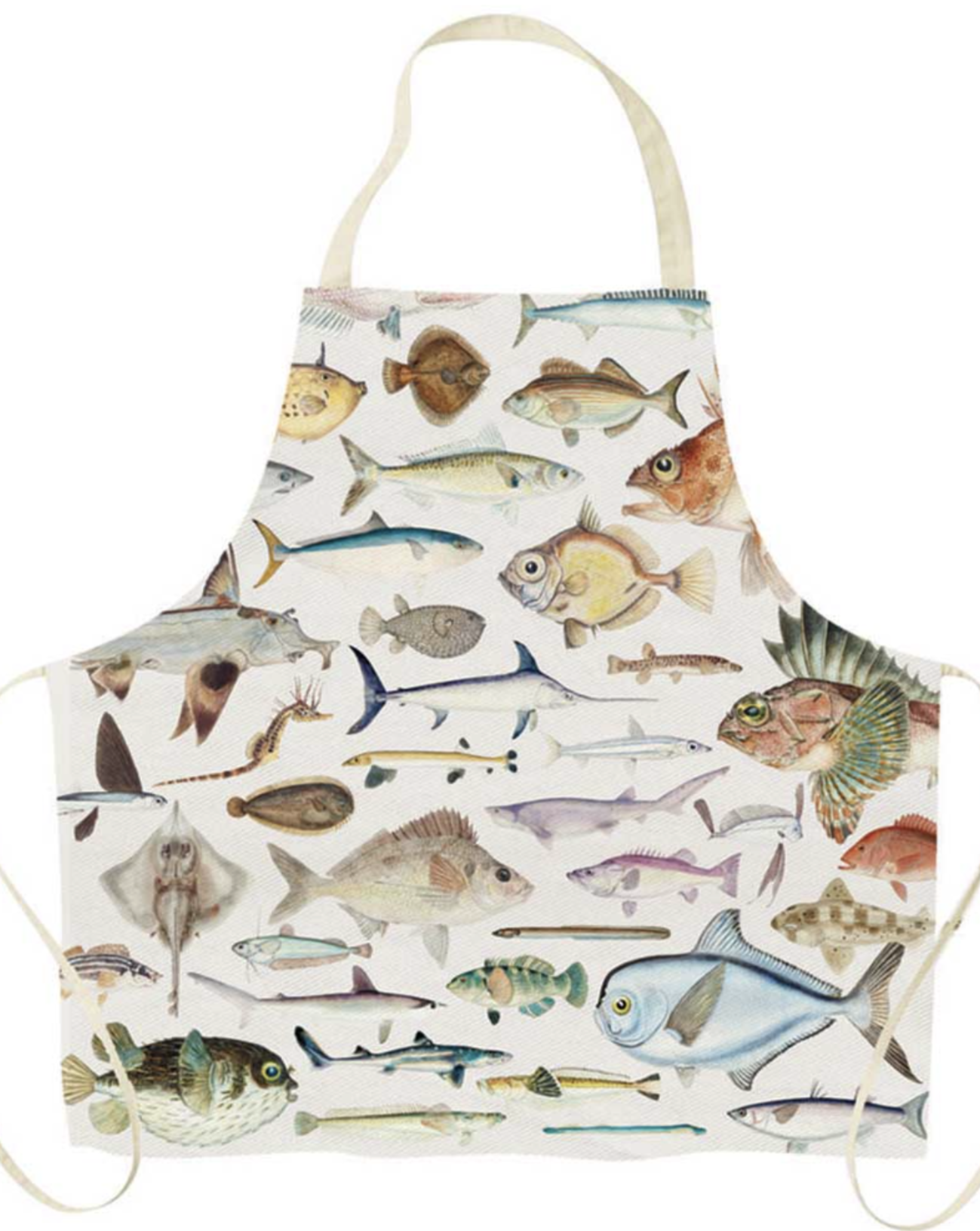 Fishes of New Zealand Apron